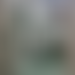 bathroom congress plaza hotel chicago illinois