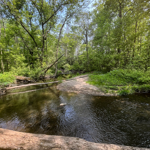 creek inside of hobbs woods in fond du lac wisconsin