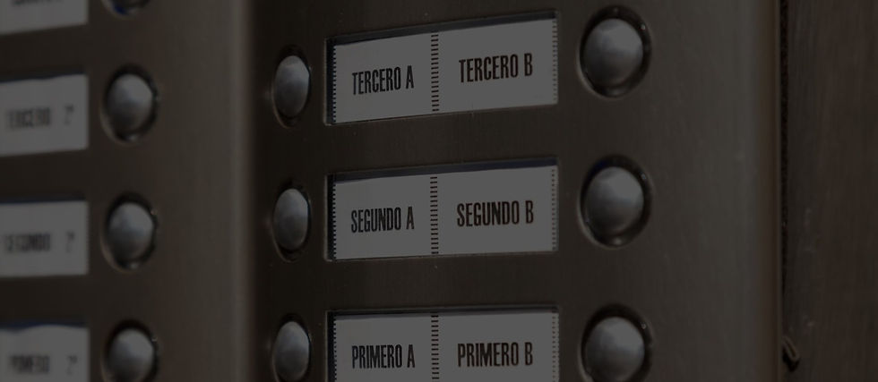 Carrito1.jpg
