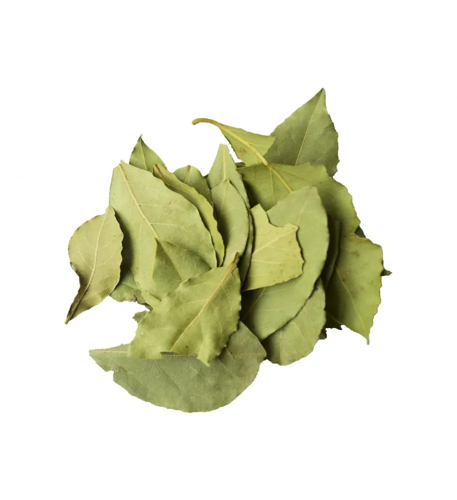 Bay Leaf or Laurel