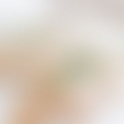 chicken breasts with seasonings