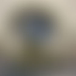 Spring has arrived at P.S. Flowers Mercantile!