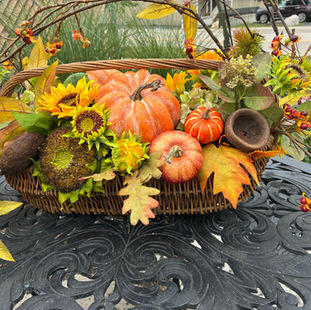 Harvest Splendor abounds!