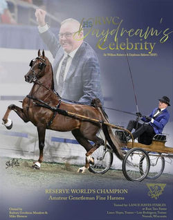 RWCC RWC HS Daydream's Celebrity
