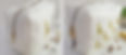 Website pic Giraffe.jpg