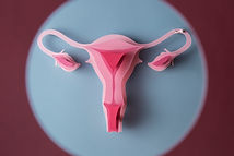 CULTIVO CERVICO VAGINAL.jpg