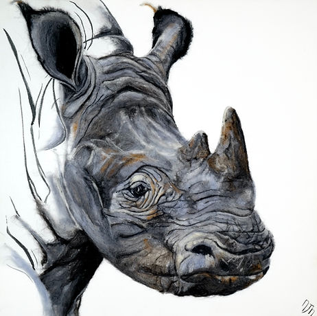 RHINO MASTER PRINT.jpg