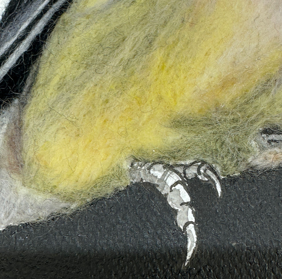 Thumbnail: Waxwing + Rowan- Wildlife Wool Painting
