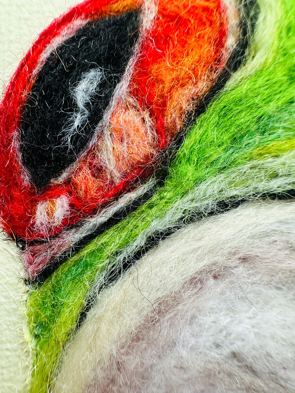 Thumbnail: Red Eyed Tree Frog Wool Painting