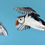 Thumbnail: The Circus Puffins - Wildlife Wool Painting