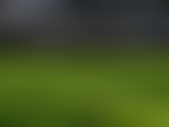 Shade-Grown Alchemy: How 95% Darkness Forges Matcha’s Emerald Soul Photoshielding as Biochemical Mastery