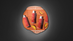 Portfolio Website Background-03.png