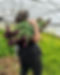 82CD5C7B-9E9B-4572-B465-2DF935975F67_1_105_c.jpeg