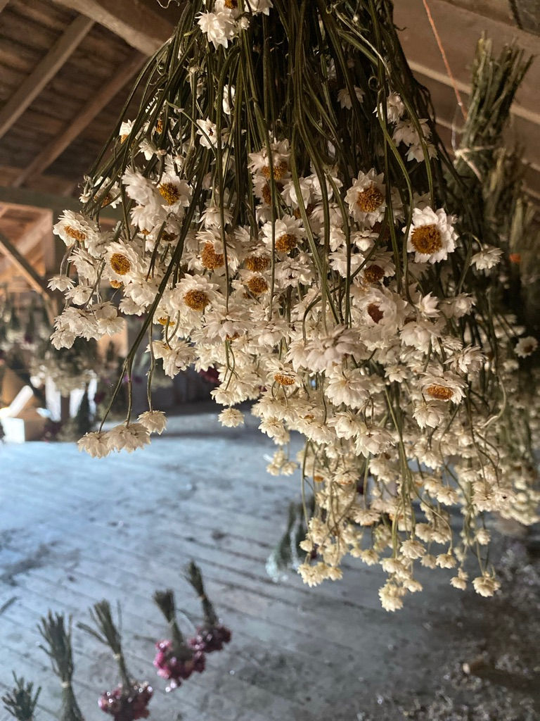 Thumbnail: Dried Bouquet
