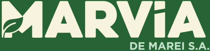Logo Marvia_Fondo Verde_edited.jpg