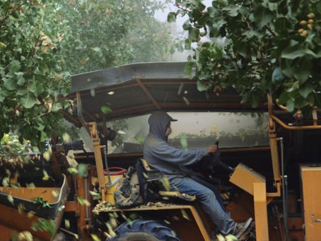 'Pistachio Wars' (2025) Review: Cracking Open the Truth Behind a Billionaire Empire