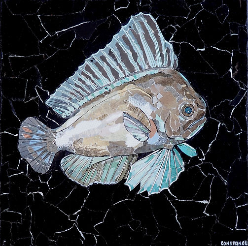 Manefish_CSaror.jpeg