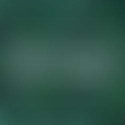 Palm Sunday 2021 Worship Program