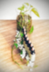 20181109_163326-01.jpeg