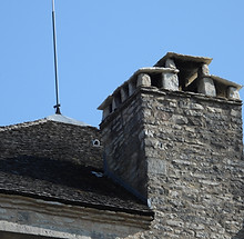 DSCN0236.JPG