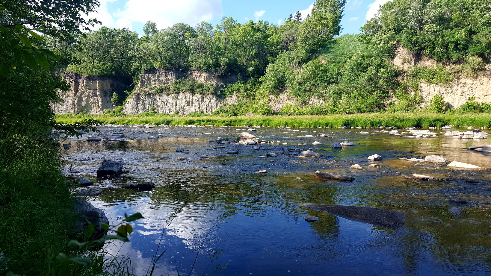 RLF-20170614_173124.jpeg