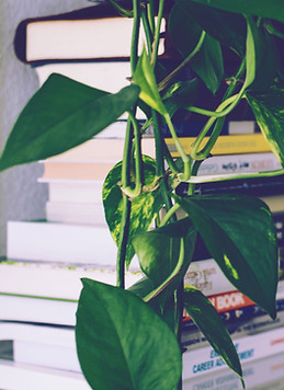 Book Shelf