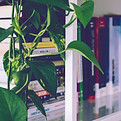 Book Shelf