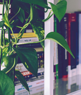 Book Shelf