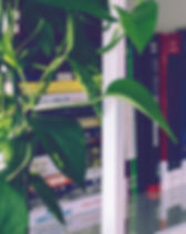 Book Shelf