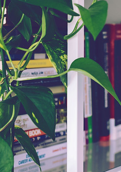 Book Shelf