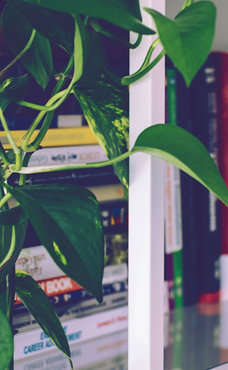 book Shelf