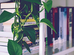 Book Shelf