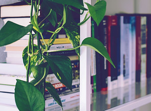 Book Shelf