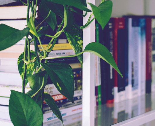 Book Shelf