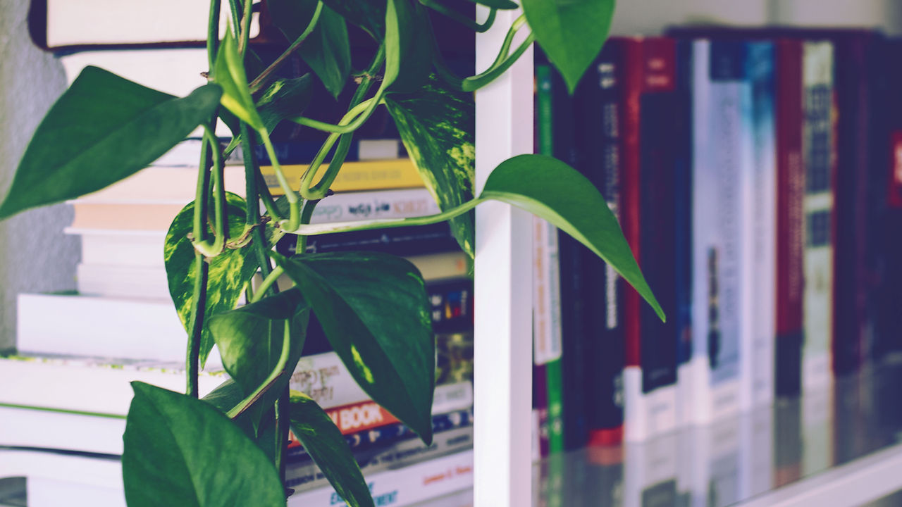 Book Shelf