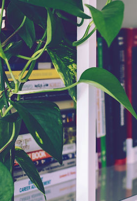 Book Shelf