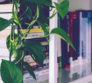 Book Shelf