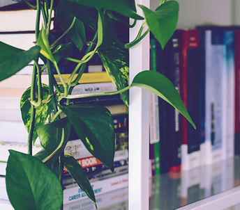 Book Shelf