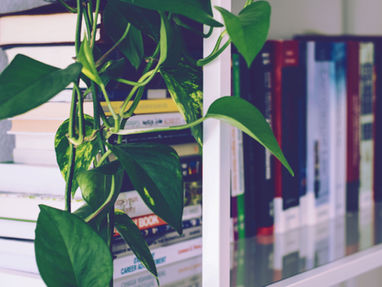 Revisiting the Books That Shaped Me