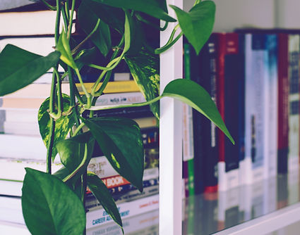 Book Shelf