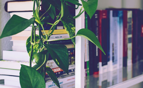 Book Shelf