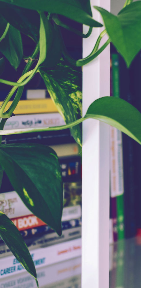 Book Shelf