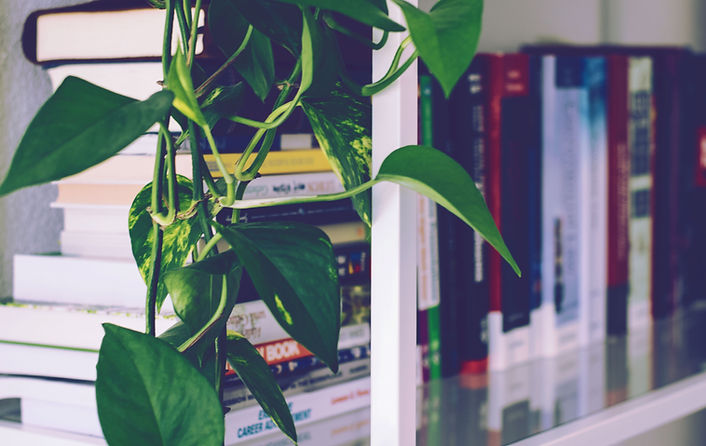 Book Shelf