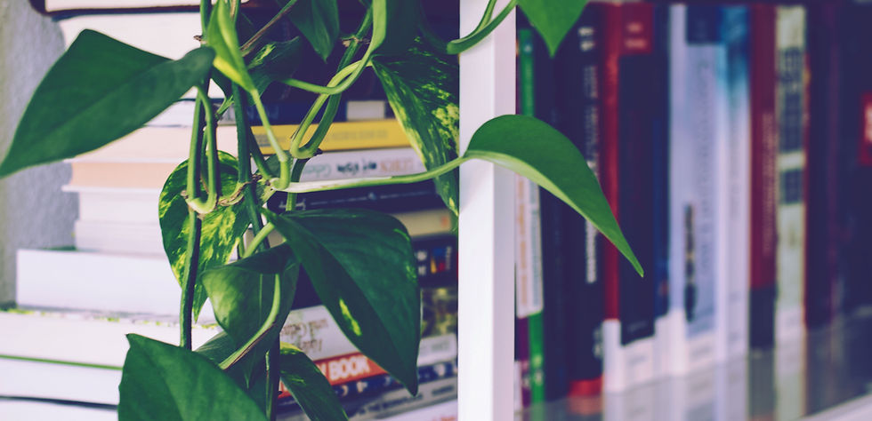 Book Shelf