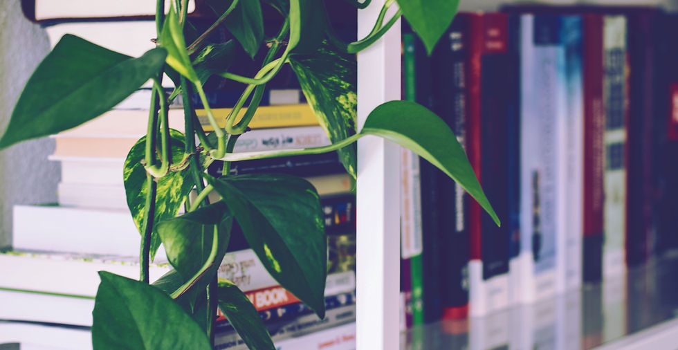 Book Shelf