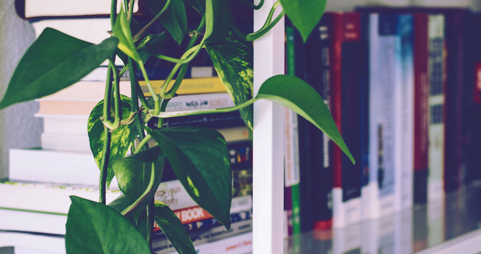 Book Shelf