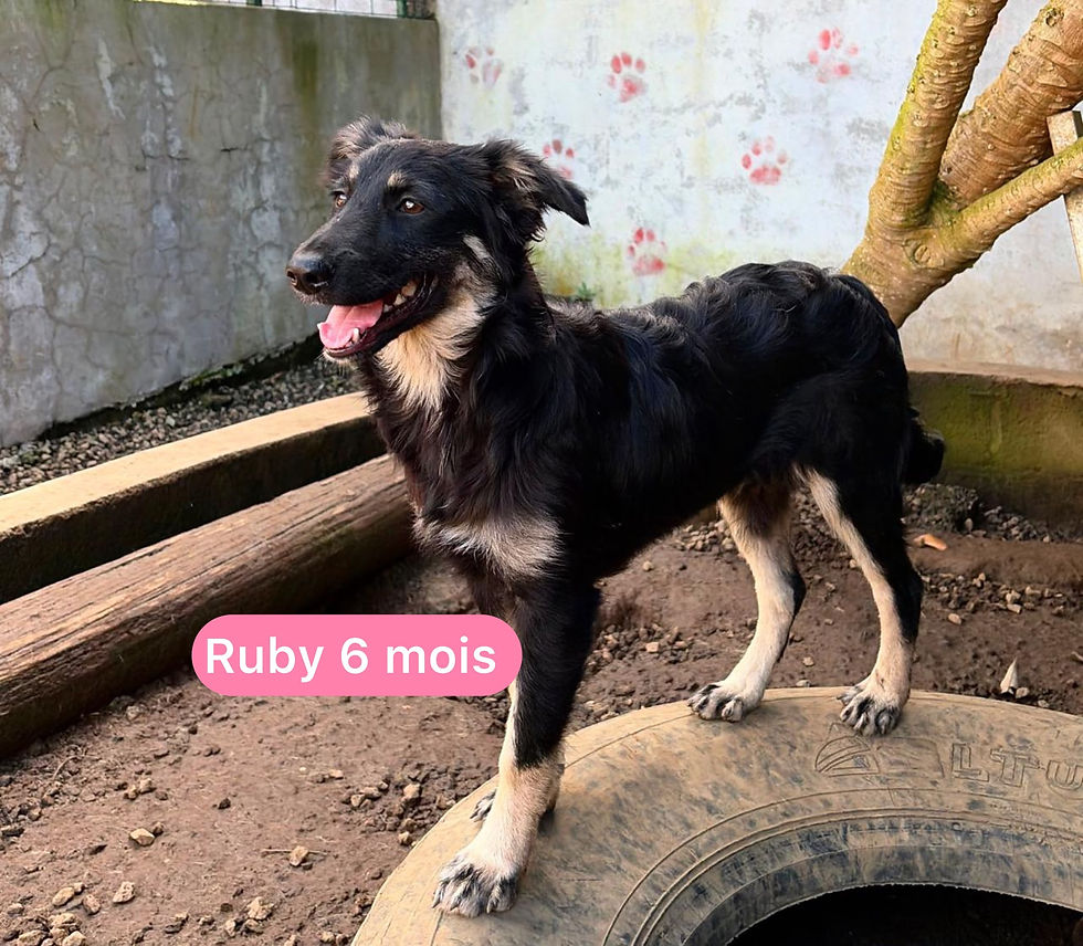 RUBY