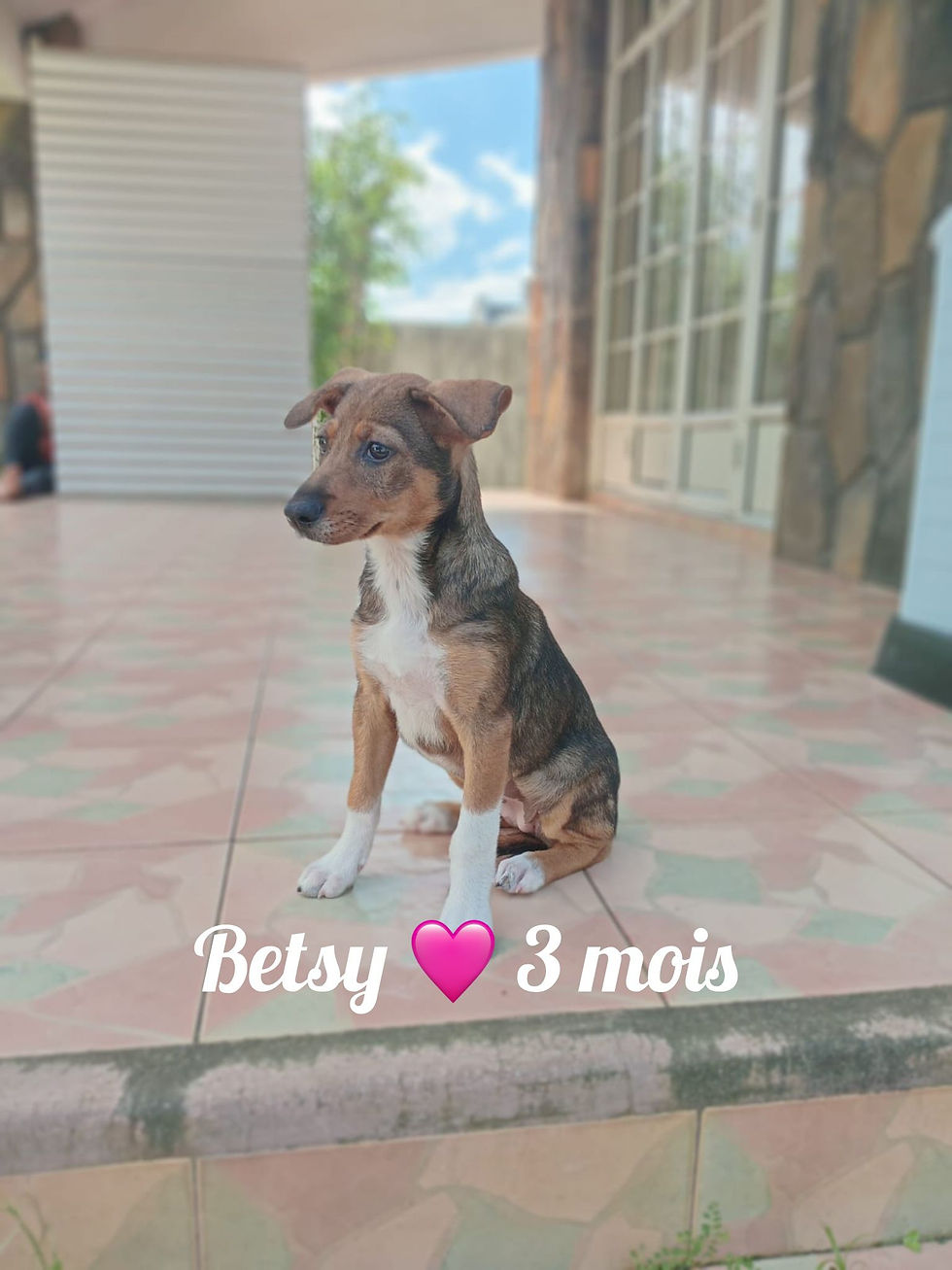 BETSY
