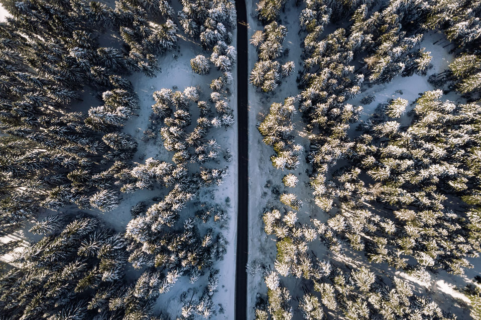 DJI_0430.jpg