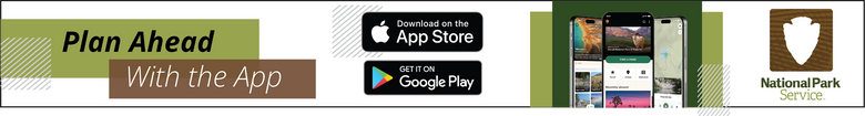 Digital Display Banner Ad